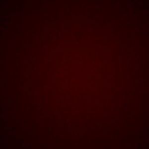 Meet your Posher, Lacey